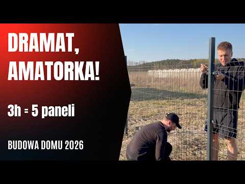 Ogrodzenie panelowe 3D — jak je zrobiliśmy najtaniej (i co nas zaskoczyło)